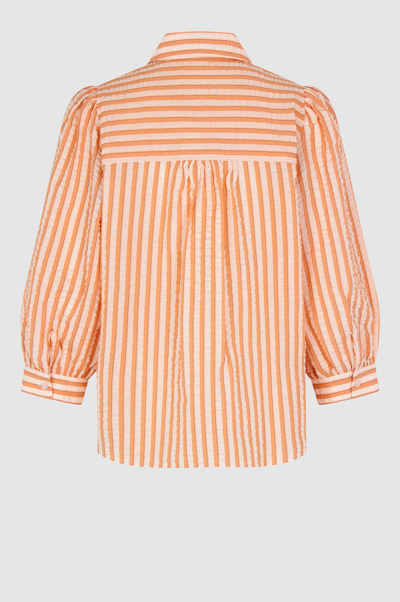 Sorbetto New Shirt