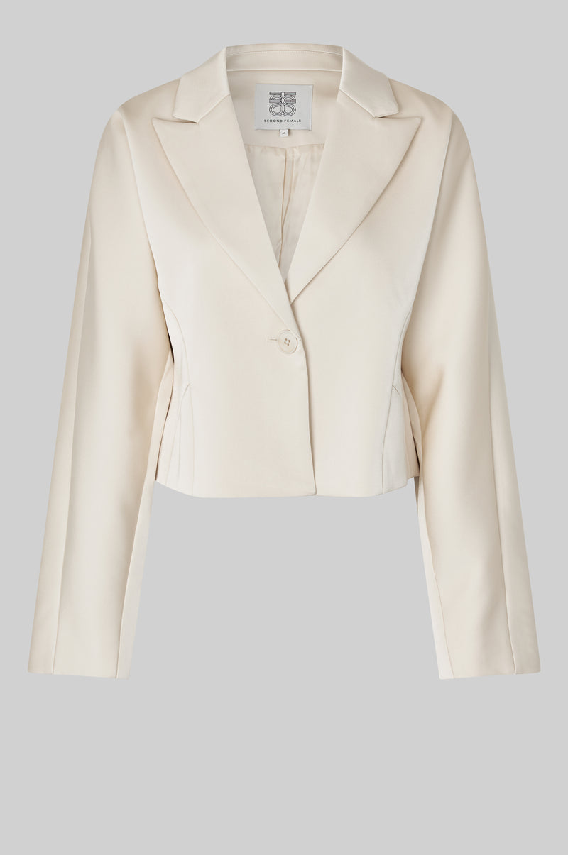Dazzle Blazer