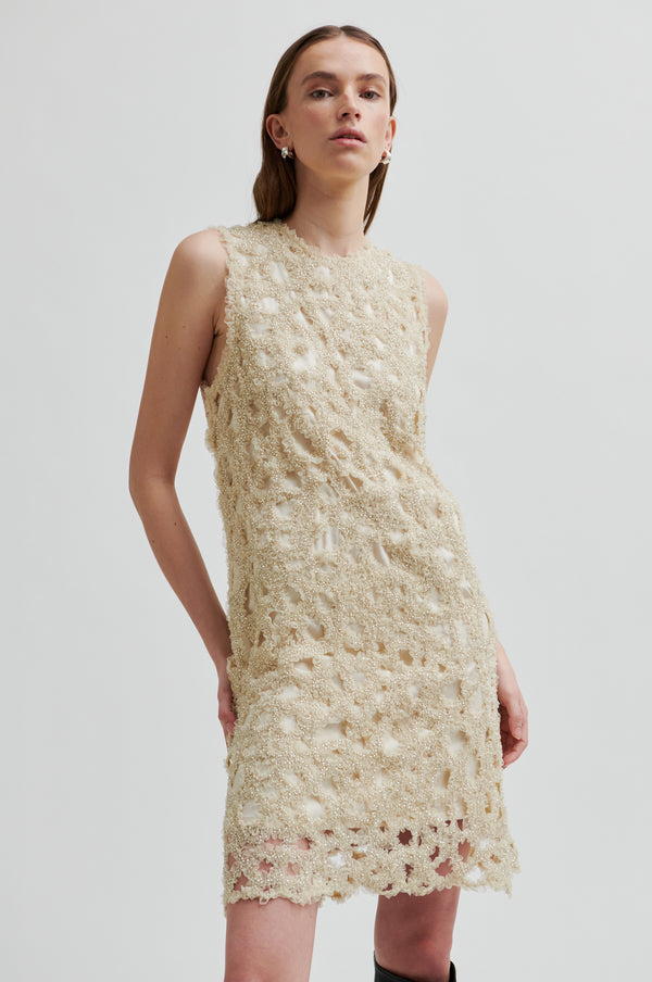 Gleam Dress