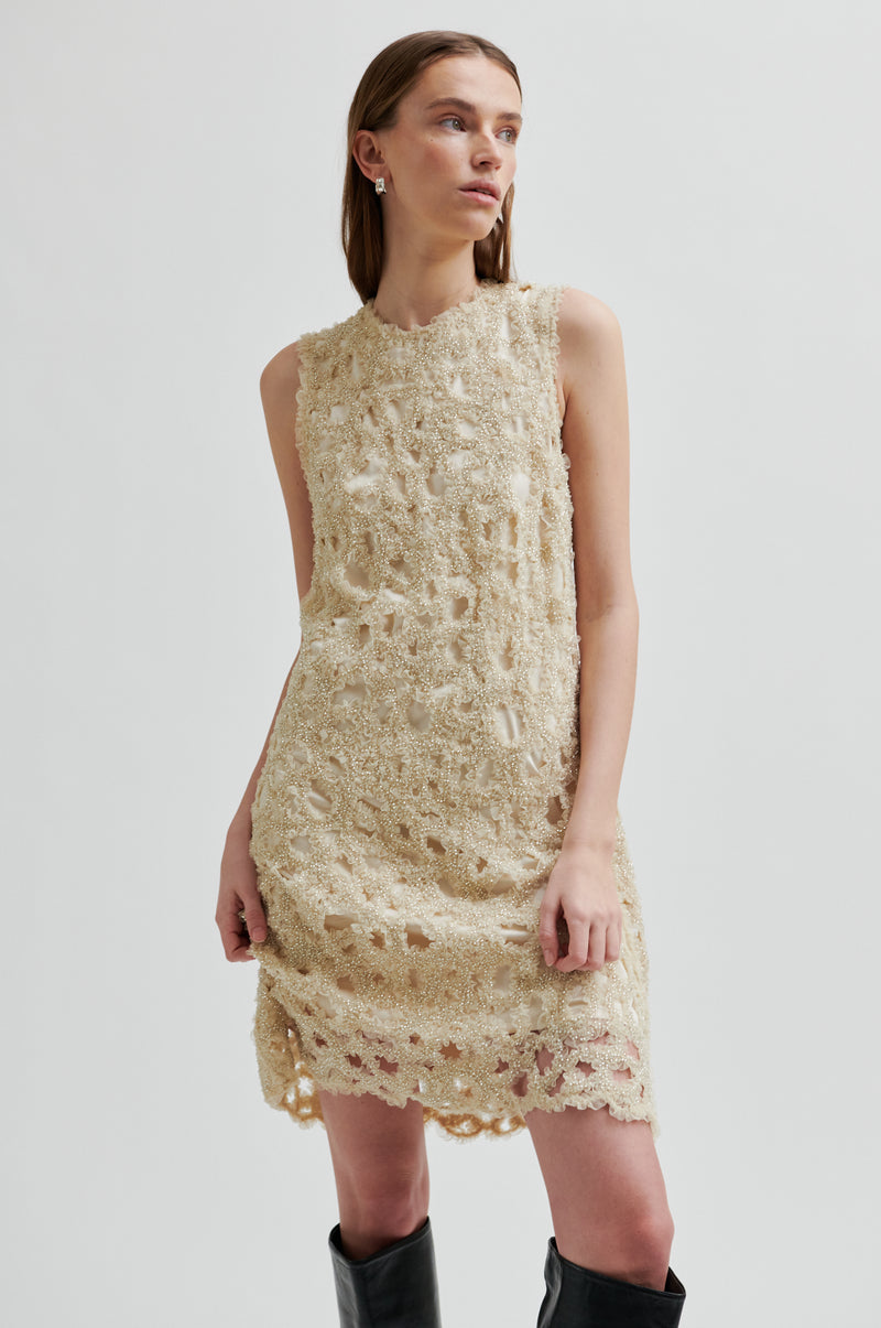 Gleam Dress