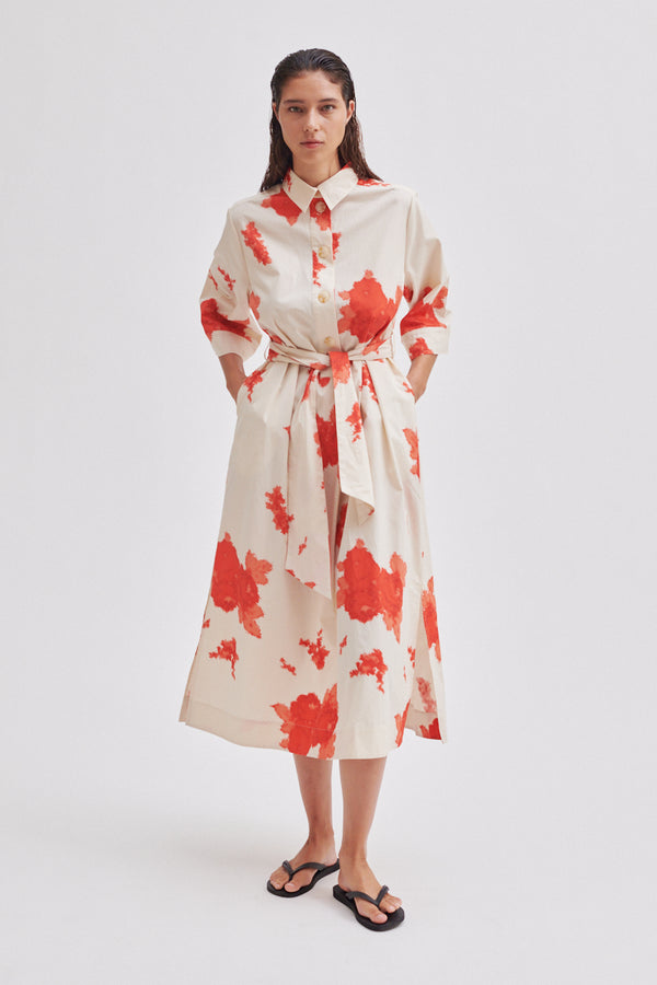 Fridenza Dress