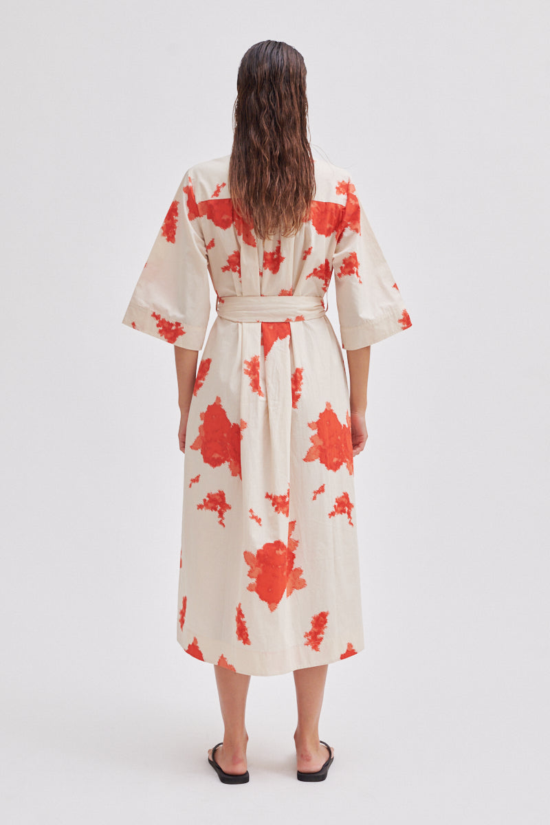 Fridenza Dress