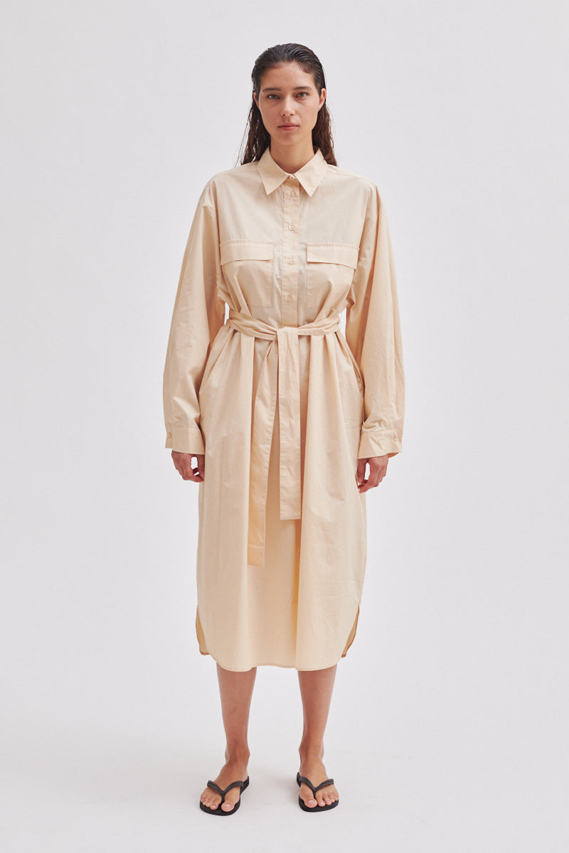 Aluline Shirt Dress