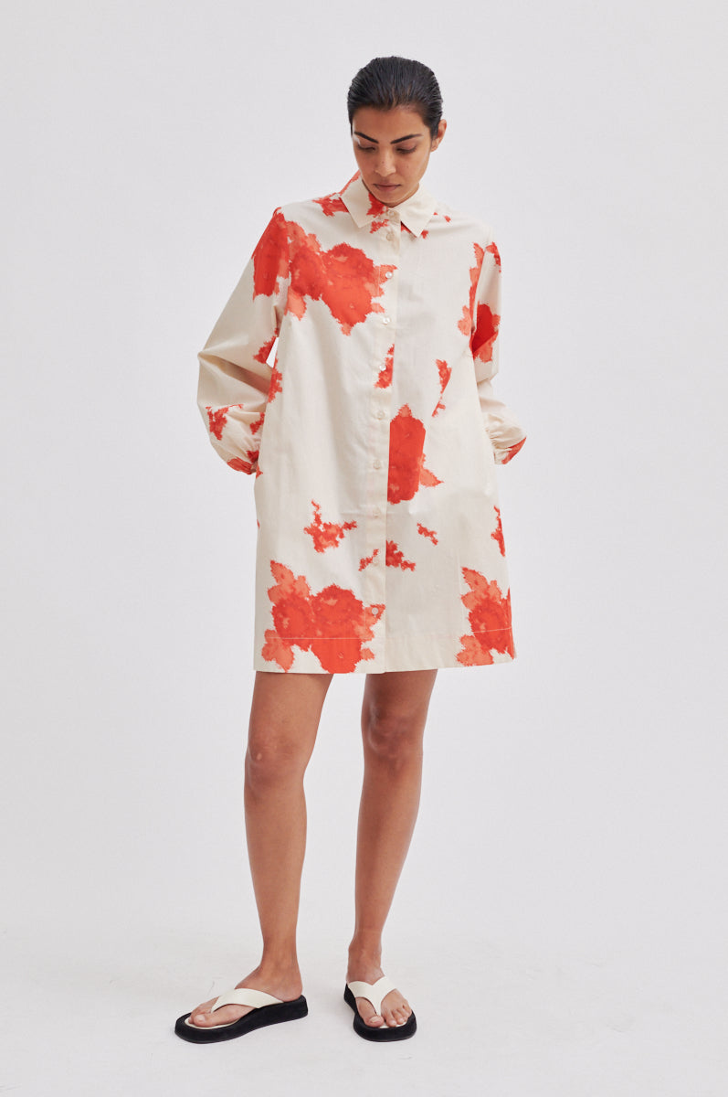 Fridenza Tunic Dress