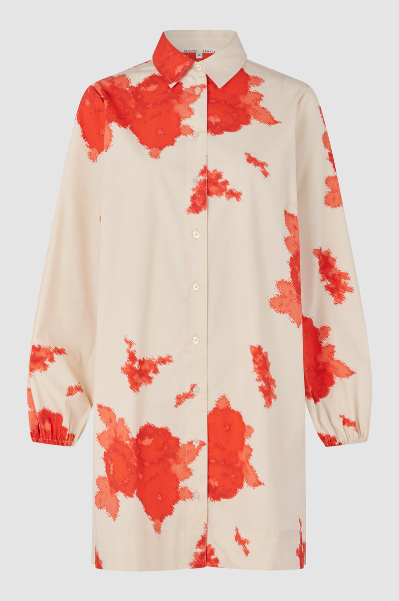 Fridenza Tunic Dress