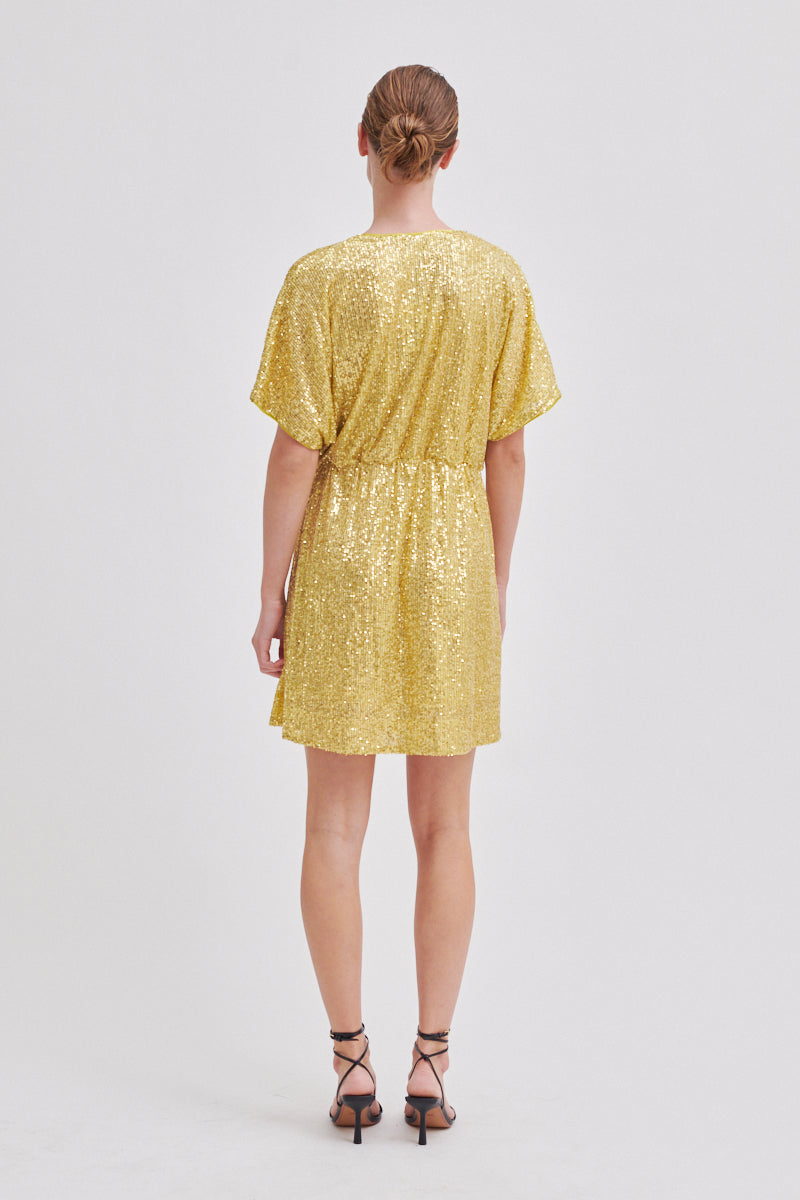 Shine On Mini Dress