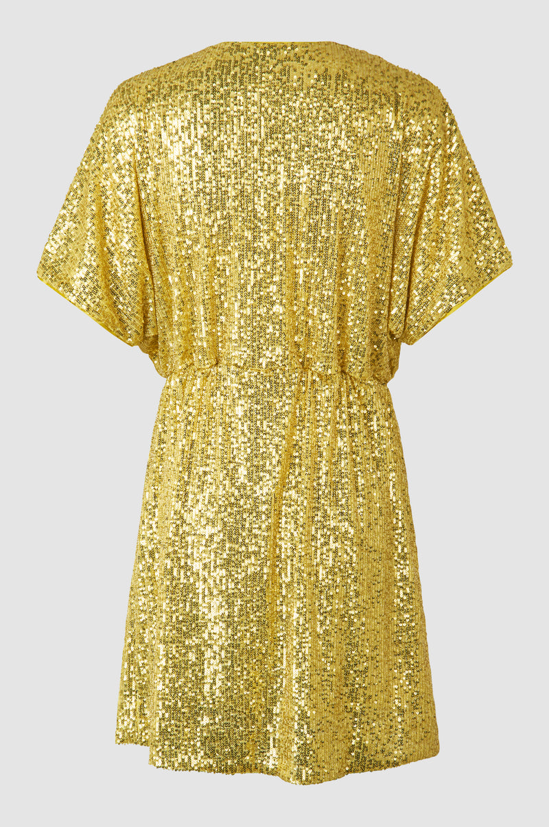 Shine On Mini Dress